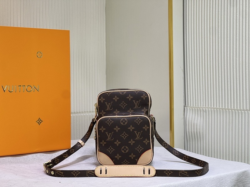 LV Handbags 13